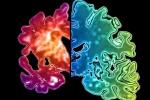 Ученые узнали новый признак развития болезни Альцгеймера