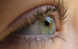 Ученые могут применять новый метод к лечению глаукомы