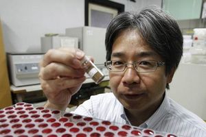 Искусственные стволовые клетки спасут японцев от облысения